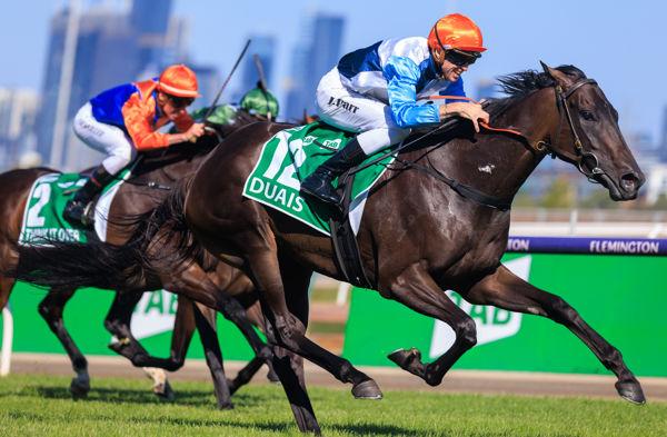 Caulfield Cup or Cox Plate for Duais