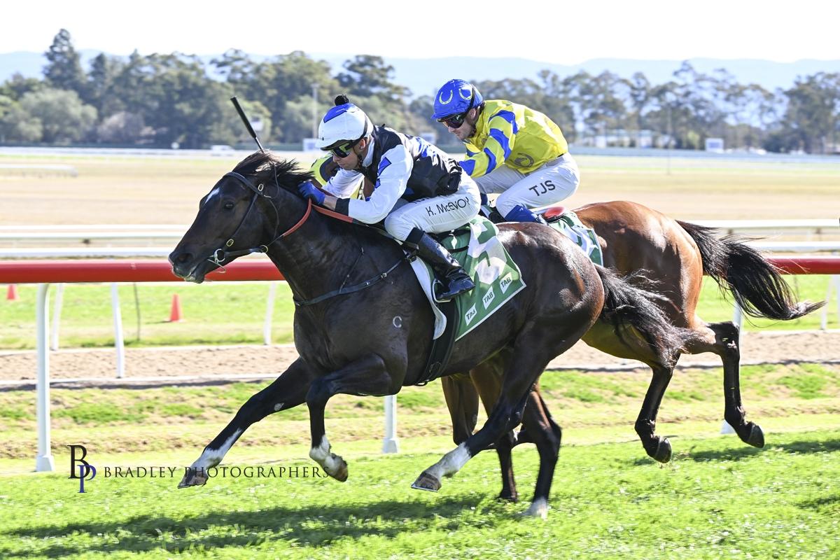 Well-bred colt no longer a maiden