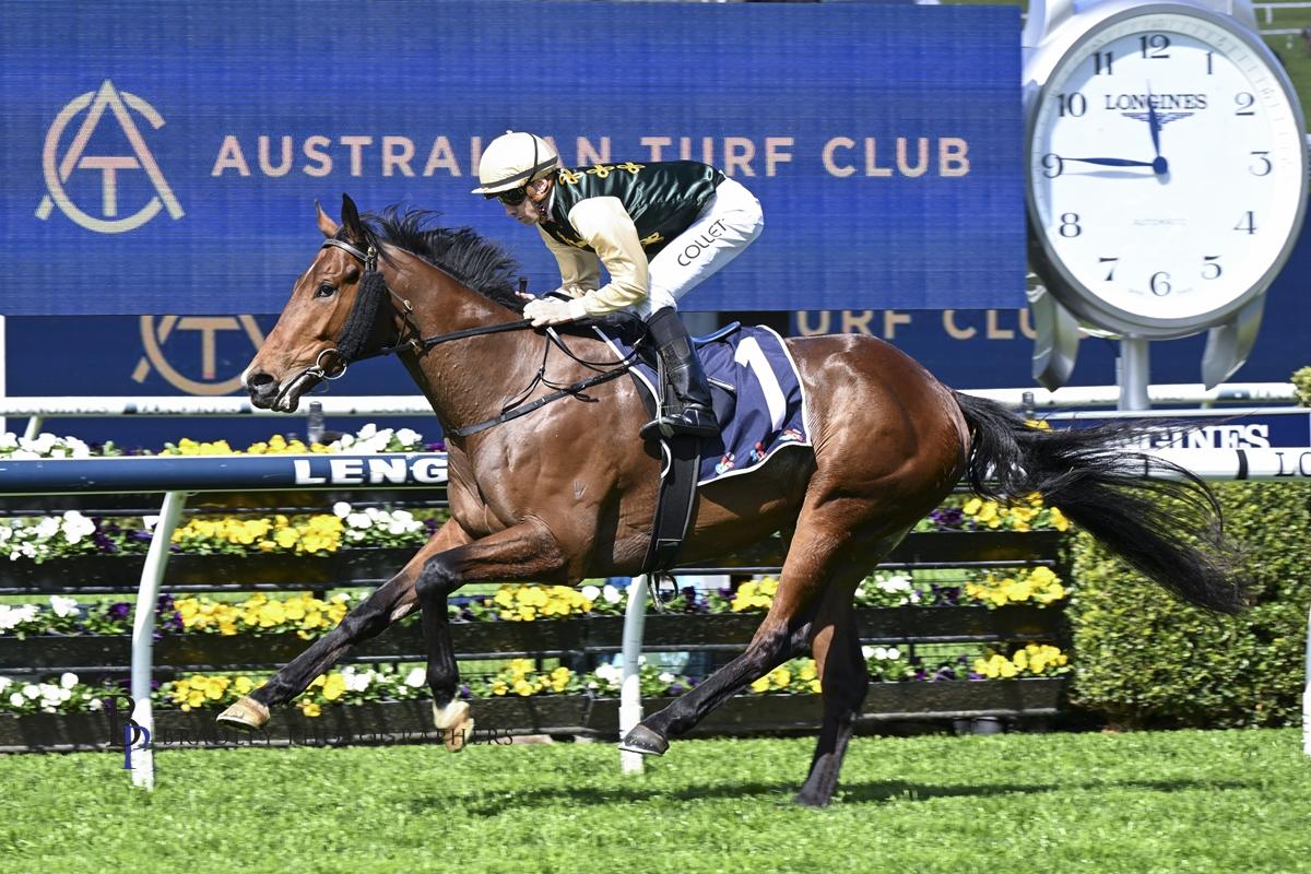Strait Acer trounces his rivals at Randwick