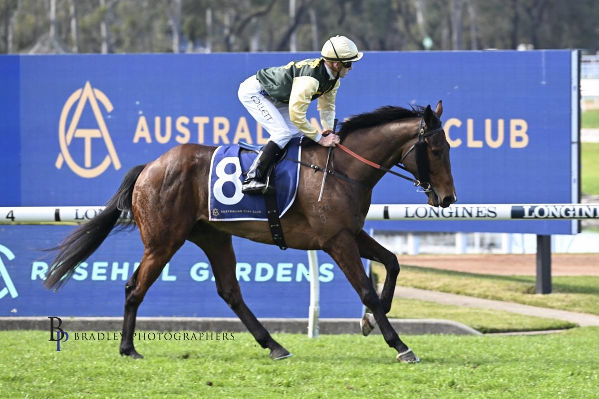 Strait Acer on target at Rosehill