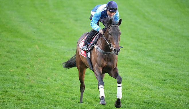 Plate path best for Duais