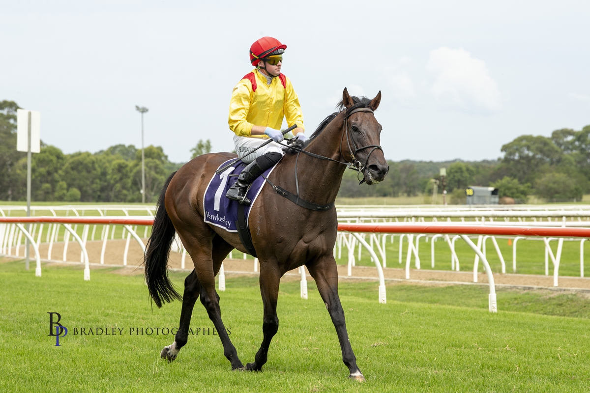 Gosford stunner for Cummings